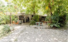 Bajo el Arbol B&B